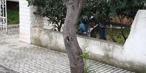 Το σημείο όπου εγκλωβίστηκε η 72χρονη γυναίκα με αποτέλεσμα να χάσει τη ζωή της, στην Ελευσίνα 