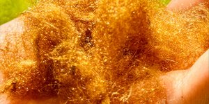 Golden Silk / Πηγή φωτογραφίας POSTECH