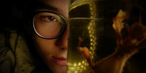 Bugboy /  Λουκάς Παλαιοκρασσάς