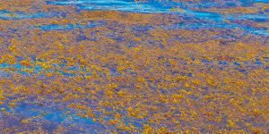 Ατλαντικός