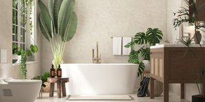 Το φυτό που προτείνει το Φενγκ Σούι για το μπάνιο -Αρμονία και καλή ενέργεια