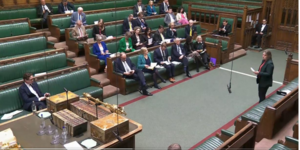 υζήτηση στο βρετανικό Κοινοβούλιο για την δημοσιοποίηση των αρχείων που αφορούν τον πρώην πρίγκιπα Άντριου ως εμπορικό απεσταλμένο\ΦΩΤΟΓΡΑΦΙΑ Screenshot