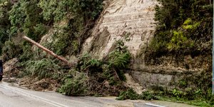 Πτώση δέντρου στη Κέρκυρα