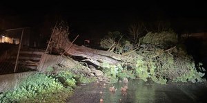 Πεσμένο δένδρο στη νότια Γαλλία