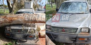 Το μεγάλο δέντρο που έπεσε πάνω στο αυτοκίνητο 