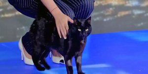 Ο «γνωστός» μαύρος γάτος του ΣΚΑΪ έκανε την εμφάνιση του στα πλατό της εκπομπής «Πρώτη Εικόνα»