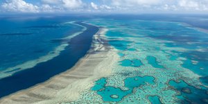 Μεγάλος Κοραλλιογενής Ύφαλος. 