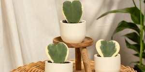 Φωτογραφία Unsplash 