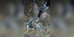 συντριβή αεροσκάφους