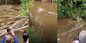 Ο κροκόδειλος κατασπάραξε τη γυναίκα ενώ αναζητούσε όστρακα σε ποτάμι της Ινδονησίας 