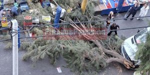 Δέντρο έπεσε στη διάρκεια λαϊκής αγοράς στο Νέο Φάληρο