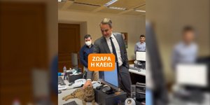 Η γάτα Κλειώ που εγκαταστάθηκε στο Μέγαρο Μαξίμου
