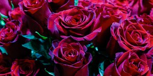 Μπουκέτο τριαντάφυλλα