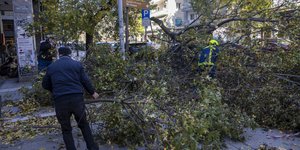 Πτώσεις δέντρων στη Θεσσαλονίκη