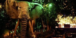 Μέσα σε ένα εμπορικό κέντρο της δεκαετίας του 1990, μια ώρα ανατολικά του κέντρου του Λος Άντζελες, υπάρχει ένα μέρος όπου ο χρόνος μοιάζει να έχει κολλήσει πεισματικά σε μια άλλη εποχή / INSTAGRAM