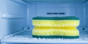 Σφουγγάρι σε κατάψυξη 