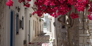 σοκακι βουλαμβιλια