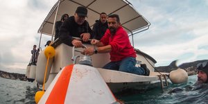 Posidonia Oceanica: Do Not Disturb