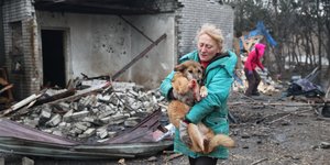 χτυπημενο σκυλακι