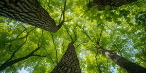 Ιδροβιότοπος