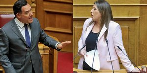 Άδωνις Γεωργιάδης, Ζωή Κωνσταντοπούλου