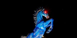 Το «καταραμένο» μπλε άλογο «Blucifer»