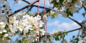 αμυγδαλια μαρτης