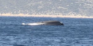 Ανατροπή σκάφους της Frontex