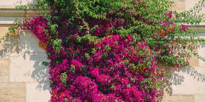 Φωτογραφία Unsplash 