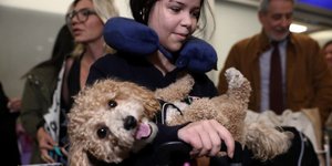  Operation ‘Ark’: Greece Evacuates 101 Citizens and 45 Pets from Dubai