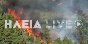 Φωτιά στην Ηλεία