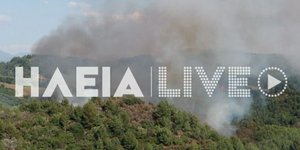 Φωτιά στην Ηλεία