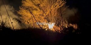 Σε ύφεση η φωτιά σε ξερά χόρτα στη Χαλάστρα