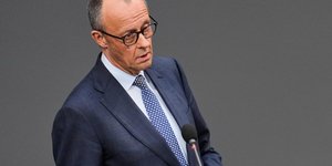 Φρίντριχ Μερτς, Γερμανία, μετανάστες 