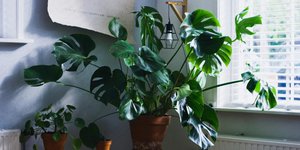 Φωτογραφία: Unsplash