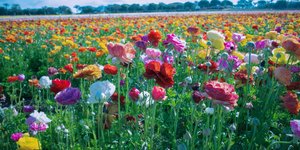 Φωτογραφία: Unsplash