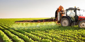 Φωτογραφία Shutterstock