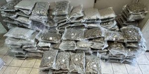 Κατάσχεση κάνναβης σκανκ