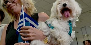 Επαναπατρισμός κατοικιδίων