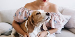 Φωτογραφία: Freepik