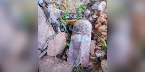 Οβίδα στην Πεύκη