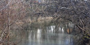 Πηνειός, αλιεία, λίμνες, Τρίκαλα