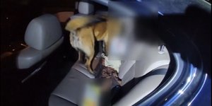 Η Iris «μύρισε» μισό κιλό ηρωίνης 