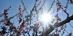 Ανεβαίνει σήμερα η θερμοκρασία 