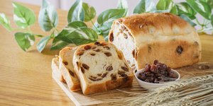 Φωτογραφία: Shutterstock