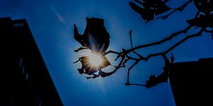 Με ήλιο ξεκινά η εβδομάδα