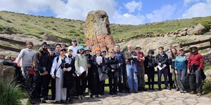 Απολιθωμένο Δάσος Λέσβου