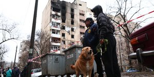 αστυνομια σκυλος