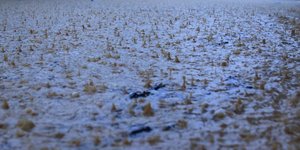 βροχές, καταιγίδες, Ήπειρος 