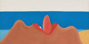 ΤΟΜ-ΒΕΣΕΛΜΑΝ-ΖΩΓΡΑΦΙΚΗ